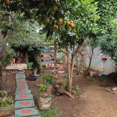 Casa Lothuz Spacio Cultural Y Disidente San Cristóbal de Las Casas 외부 사진