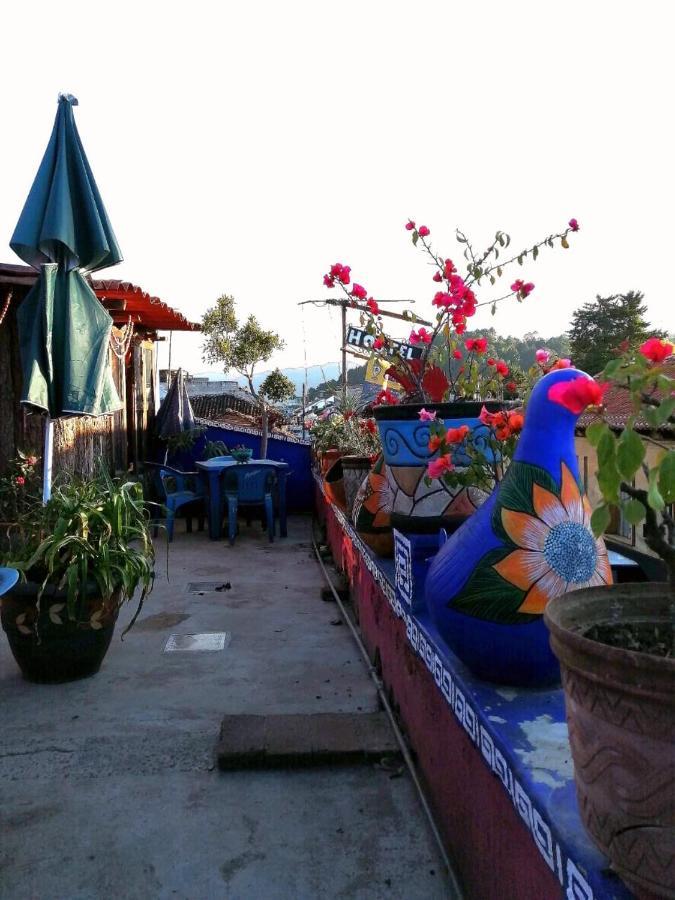Casa Lothuz Spacio Cultural Y Disidente San Cristóbal de Las Casas 외부 사진