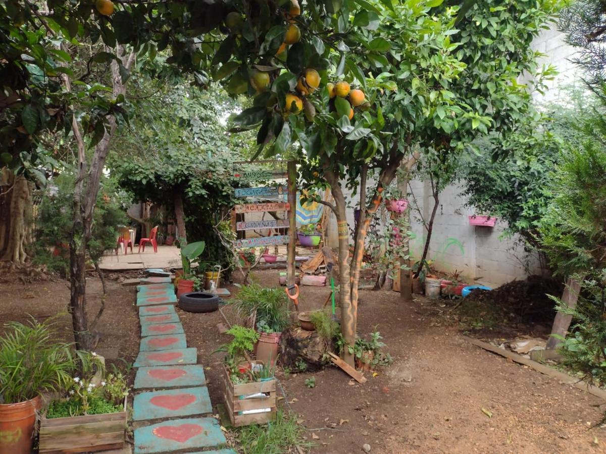 Casa Lothuz Spacio Cultural Y Disidente San Cristóbal de Las Casas 외부 사진